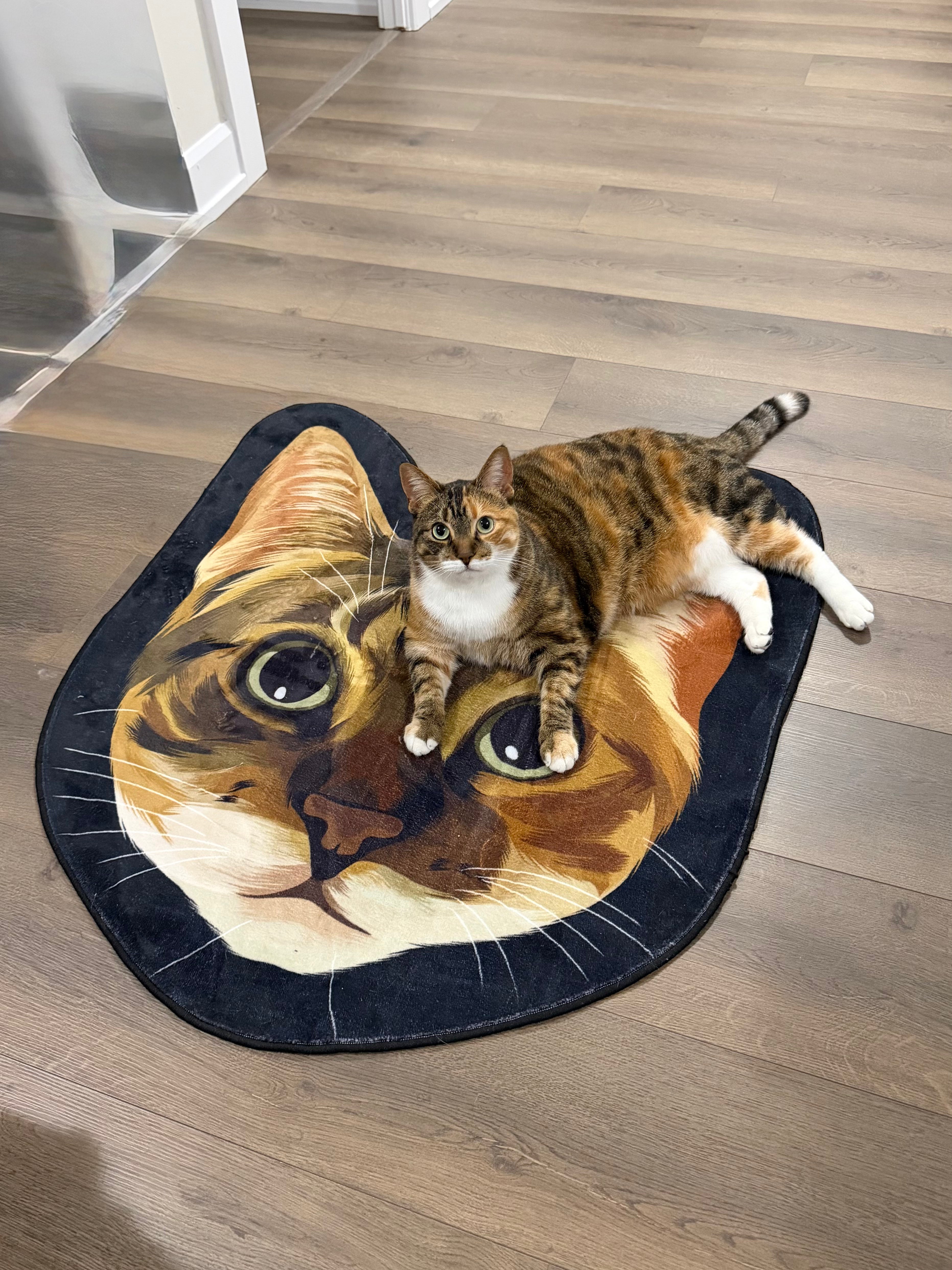 Custom Pet Rugs