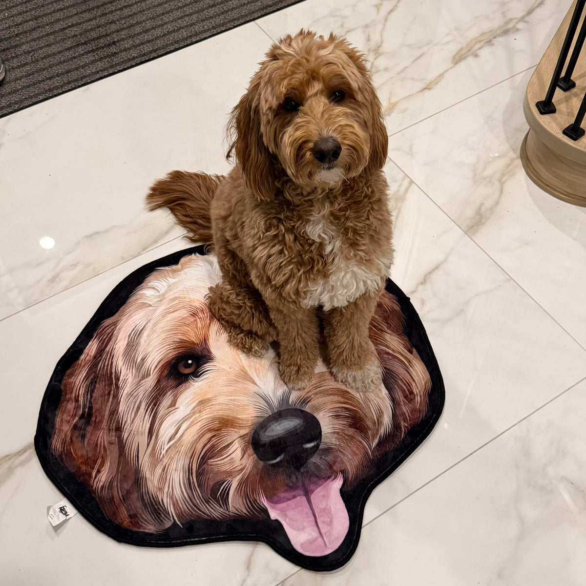 Custom Pet Rugs